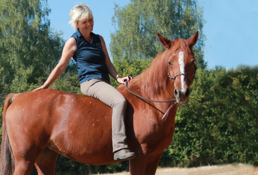 Pferd und Reiter-Effektive Mikroorganismen bei meinem Pferd