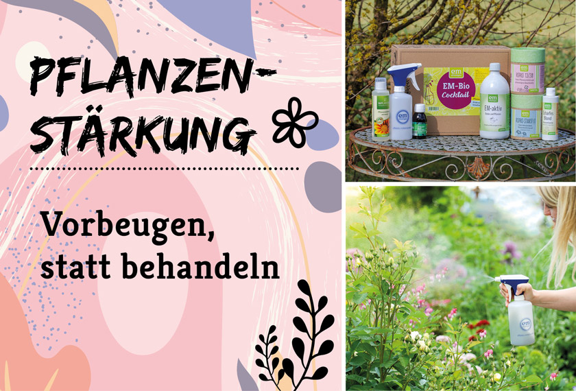 Pflanzenstaerkung-EM_Header_EM-Chiemgau