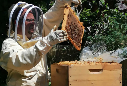 Imkern mit EM - Hobbyimker Horst Schmidt an einem seiner Bienenstöcke
