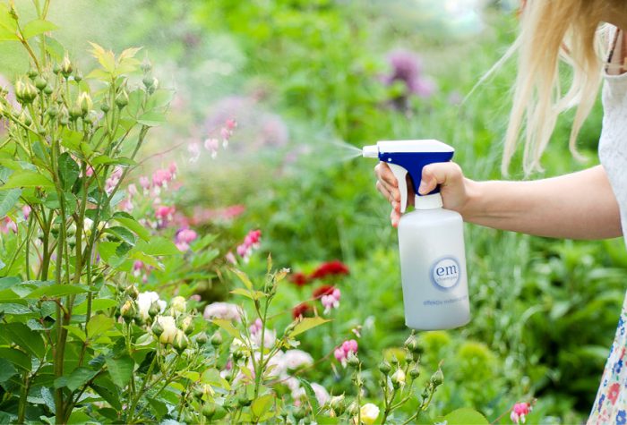 Garten Produkte für den Anfänger mit Effektiven (EM
