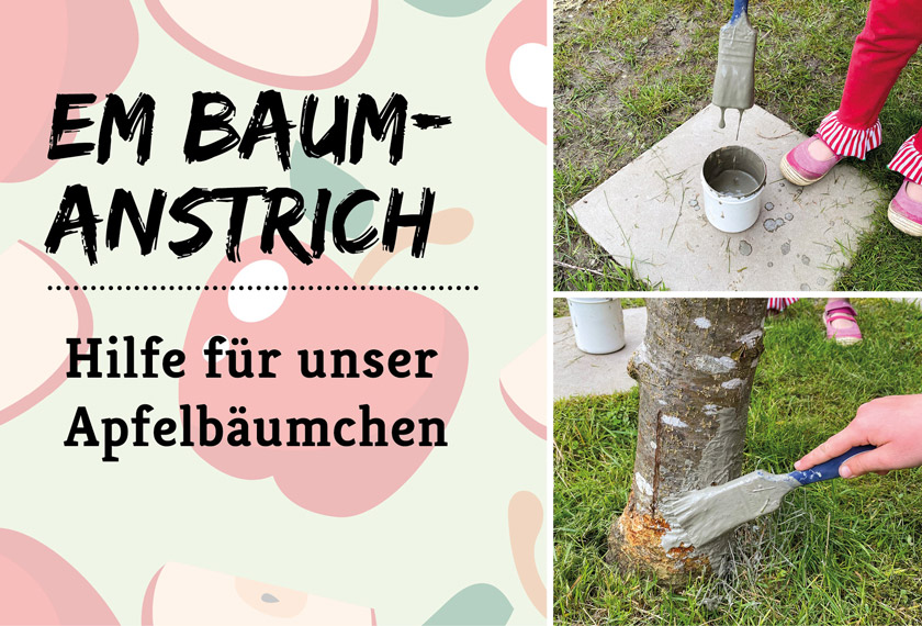 Baumanstrich-EM_Headerbild_EM-Chiemgau