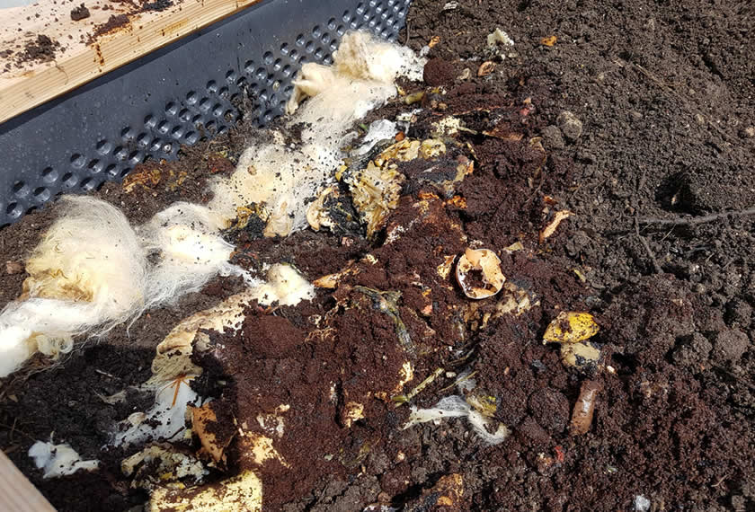 Hochbeet-aufstellen-mit-Schafwolle-und-Kuechenbokashi-flaechig-befuellen-in-20cm-Hoehe-EM-Chiemgau