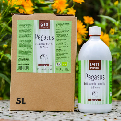 Pegasus Bio-Ergänzungsfuttermittel für Pferde von EM-Chiemgau