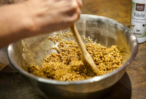 Getreidemischung-Zuckerrohrmelasse-und-Videlio-luftdicht-verschliessen-und-fermentieren