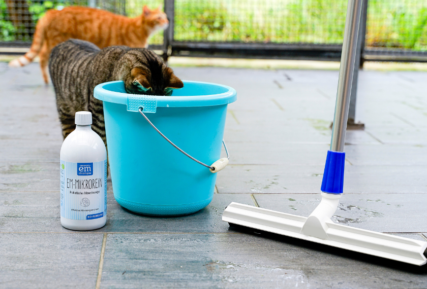 Hygienische Reinigung mit EM im Tierheim