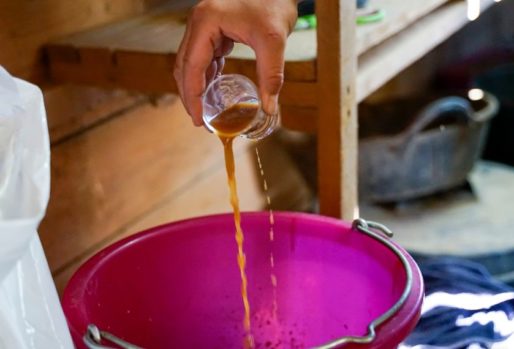 Dosierung Pegasus flüssig Ferment | Milchsäurebakterien in der Pferdefütterung