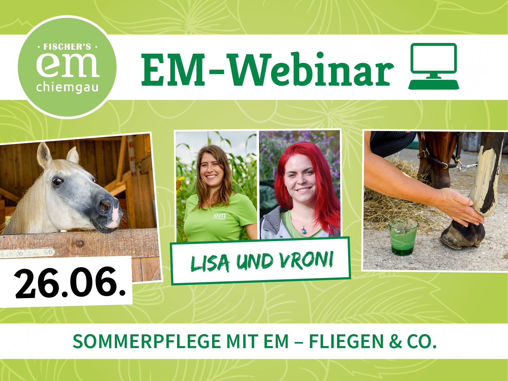 EM-Webinar Sommerpflege mit EM beim Pferd
