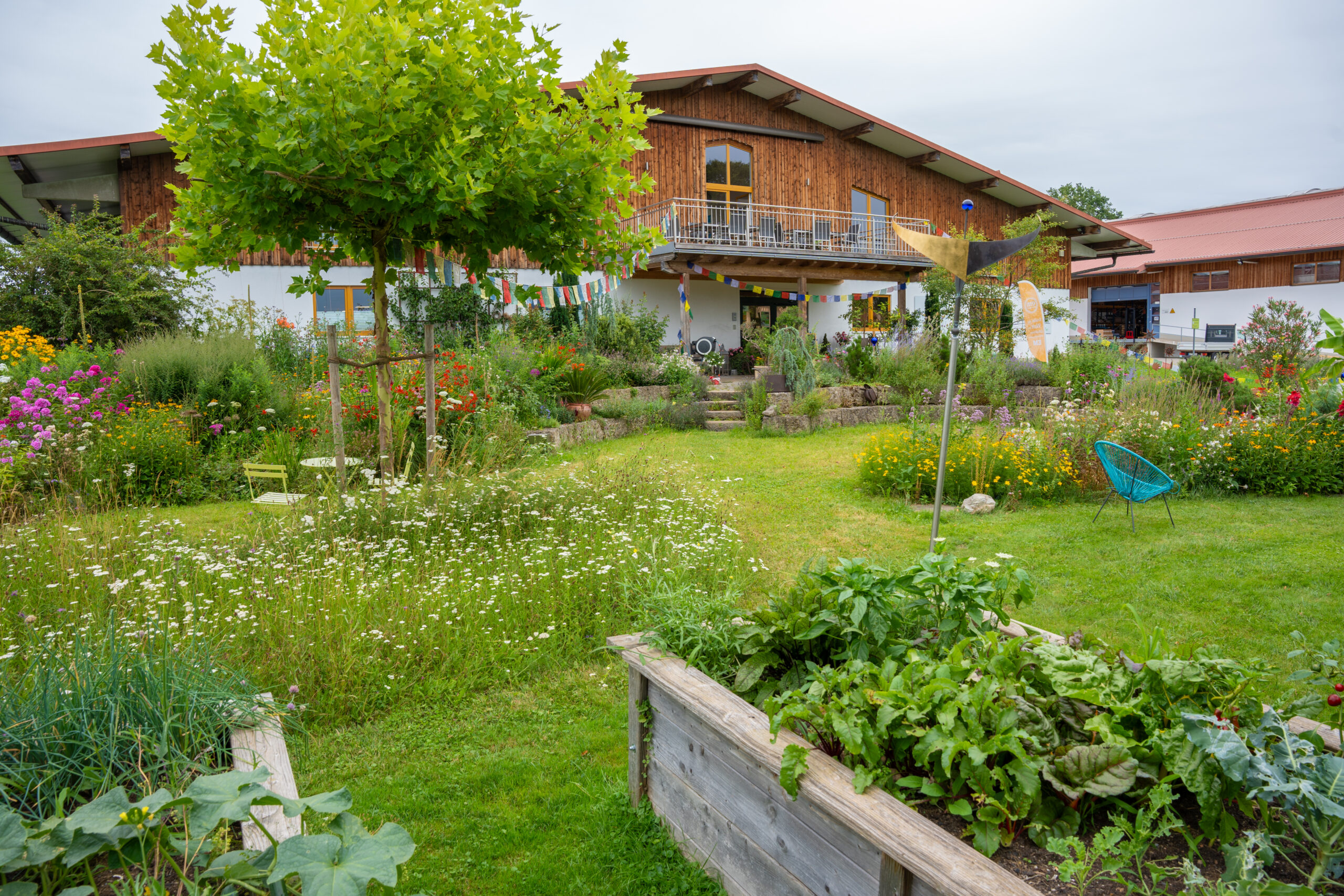 240723 EM Garten Mitarbeiterbeete 23 Print Scaled