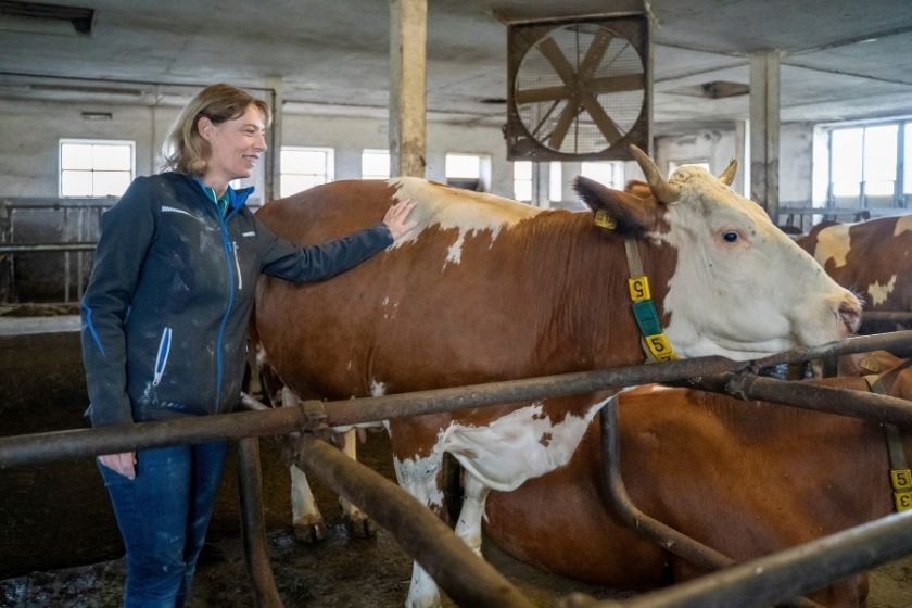 Betriebsbesichtigung Milchviehbetrieb Fam Kindsmüller
